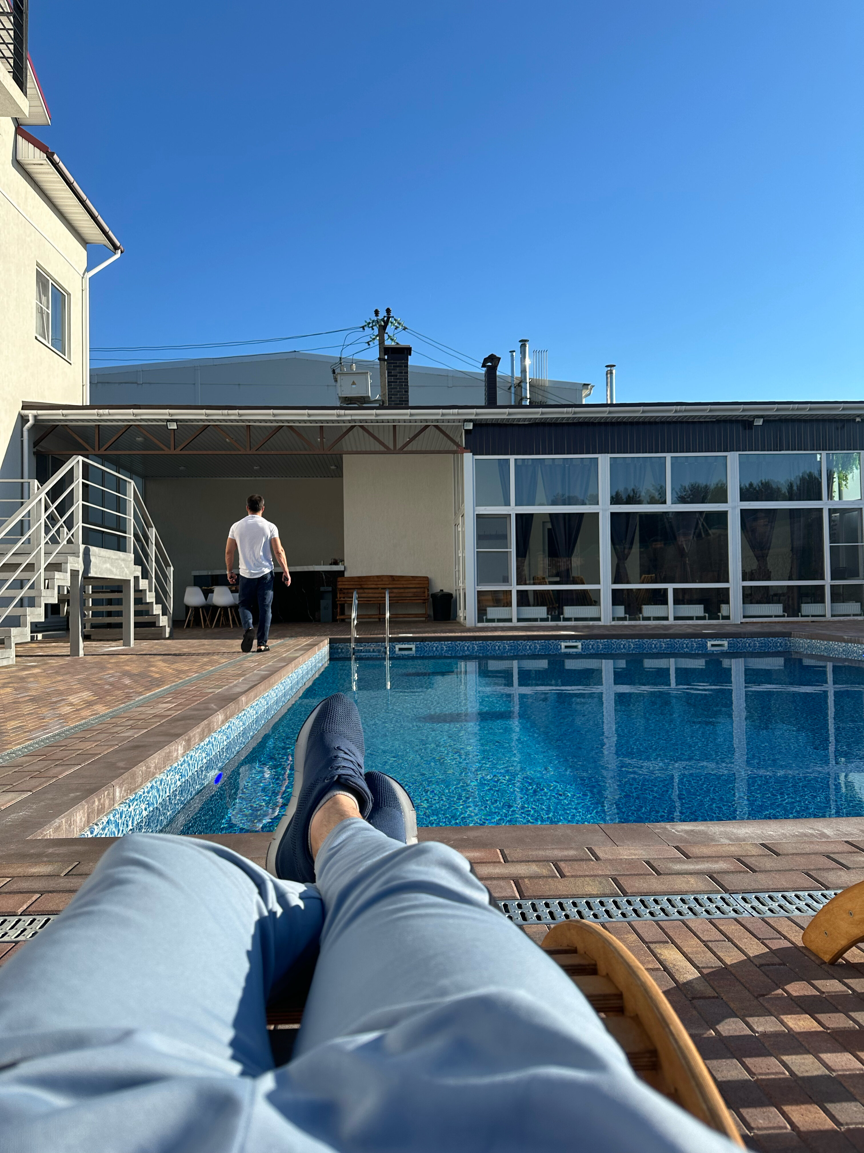 Фото Папоротник