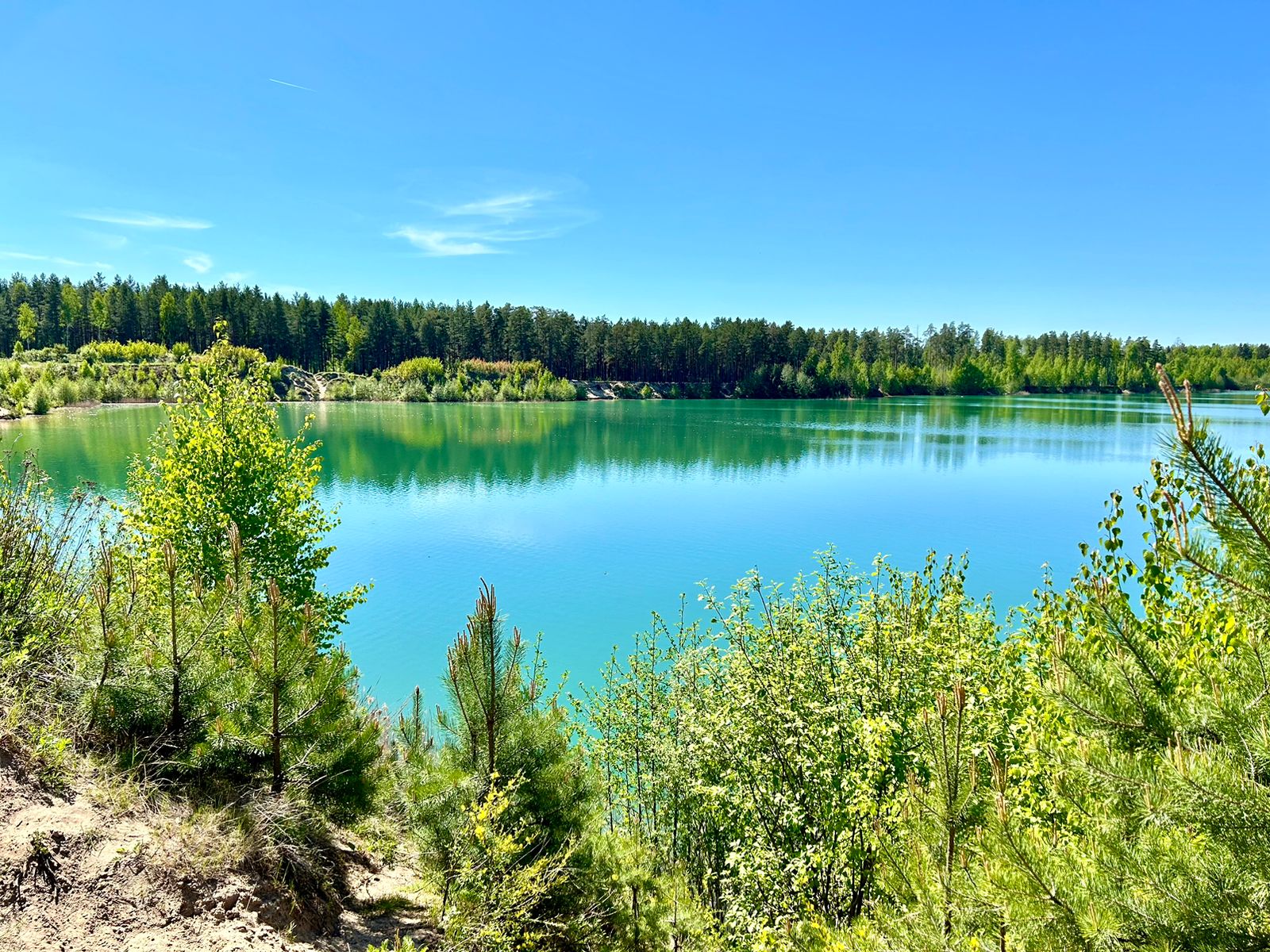 Фото Кедросад