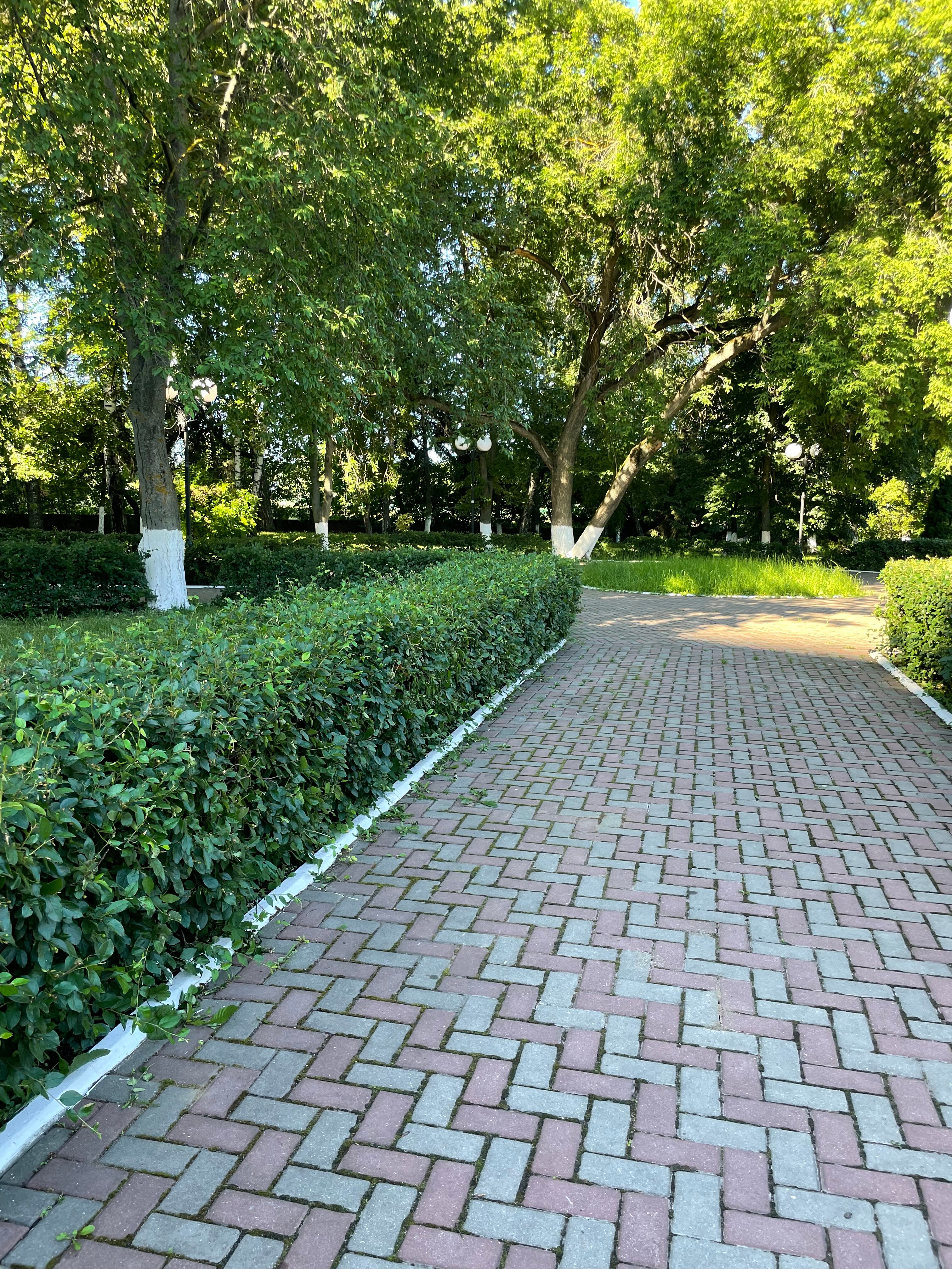 Фото Дружба