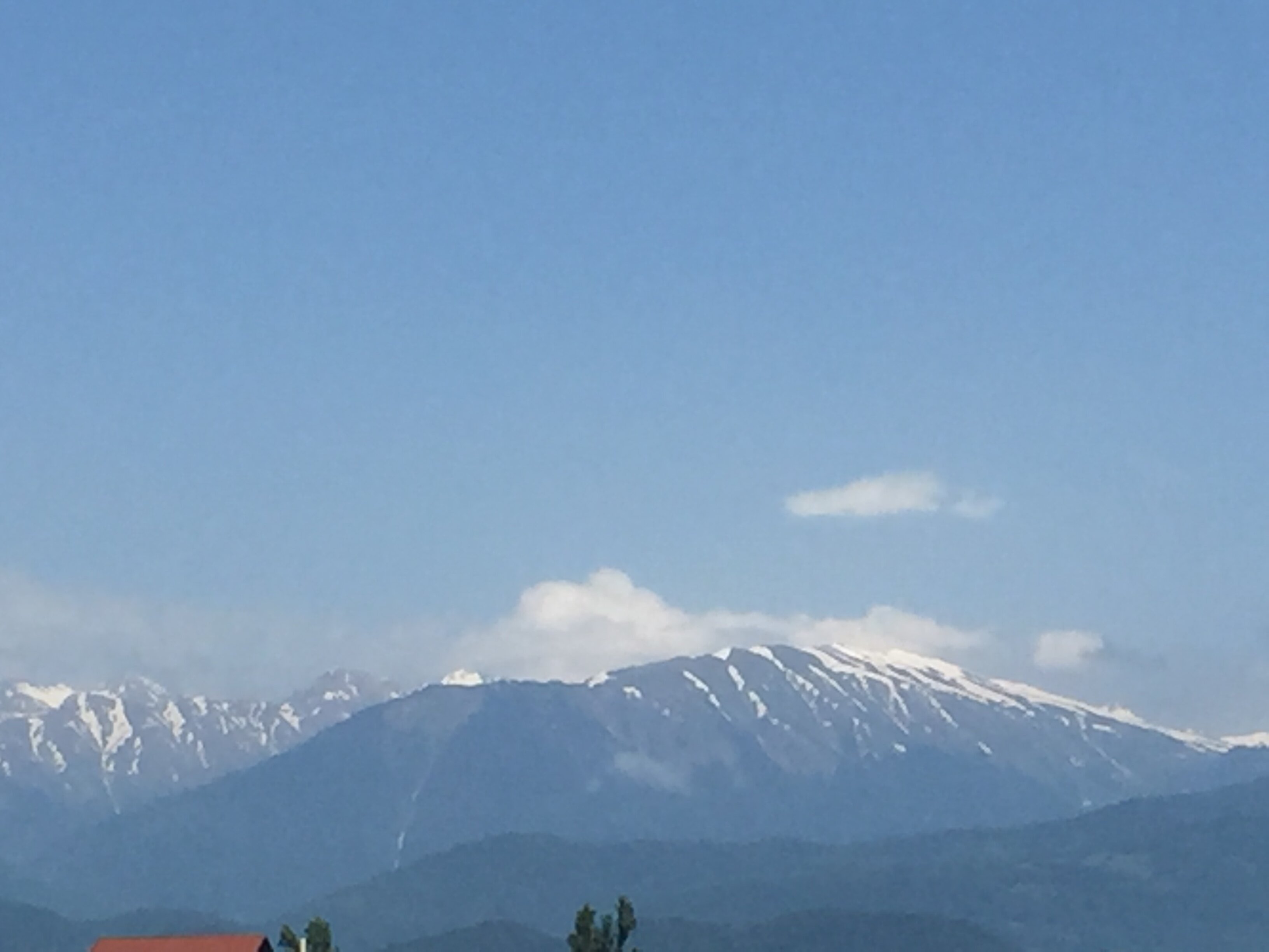 Фото Гостевой дом Виктория