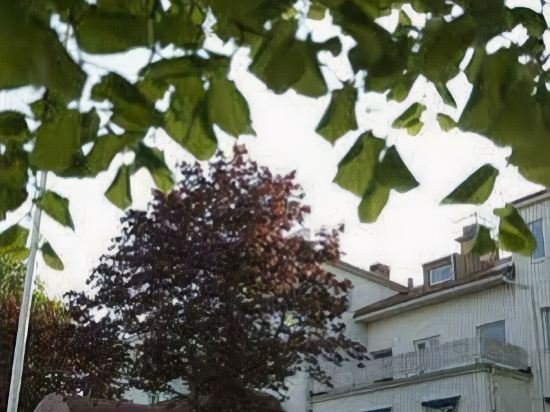 Фото Mjolby Stadshotell