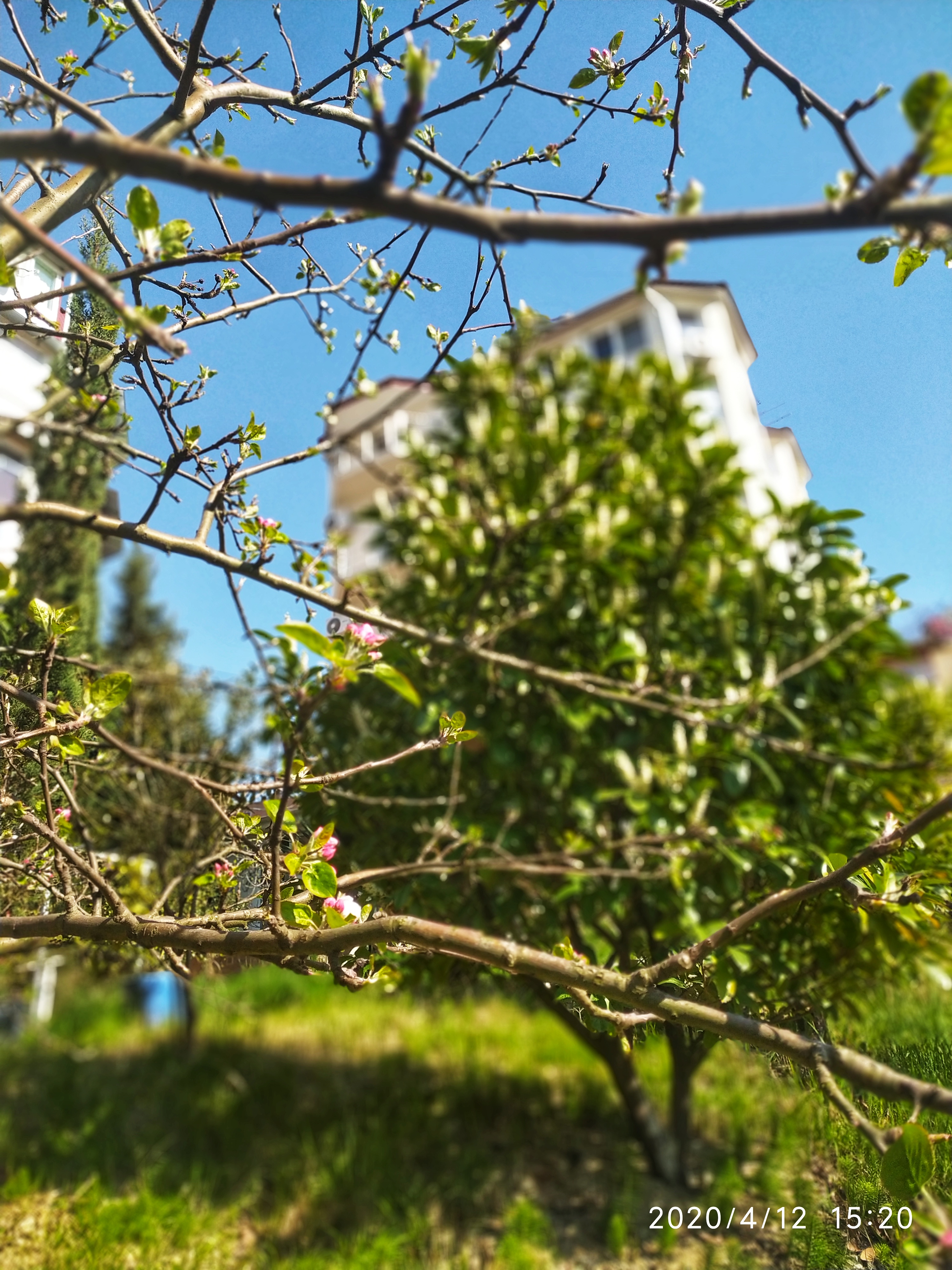 Фото Элит Хаус