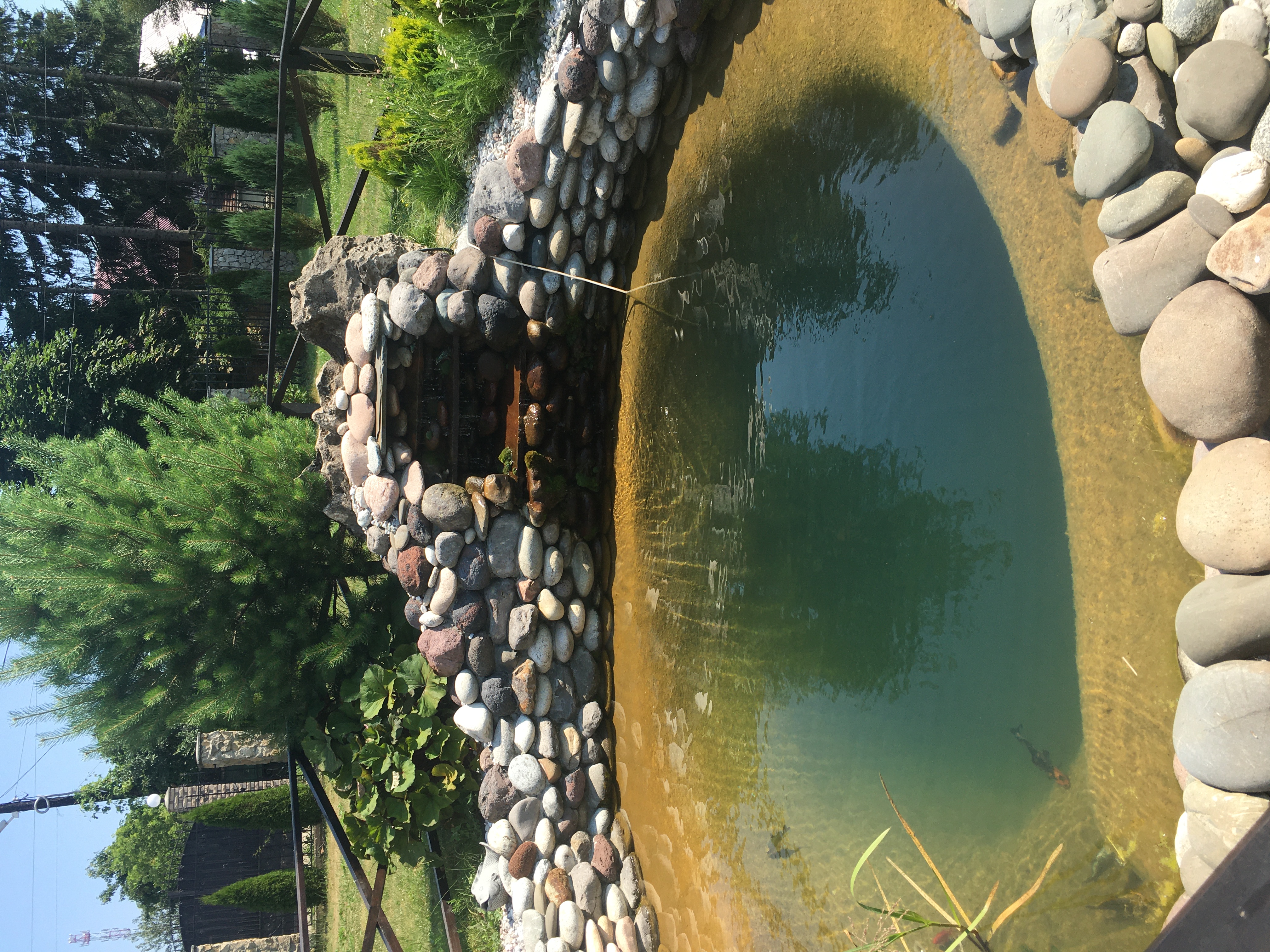 Фото Зеленая Долина