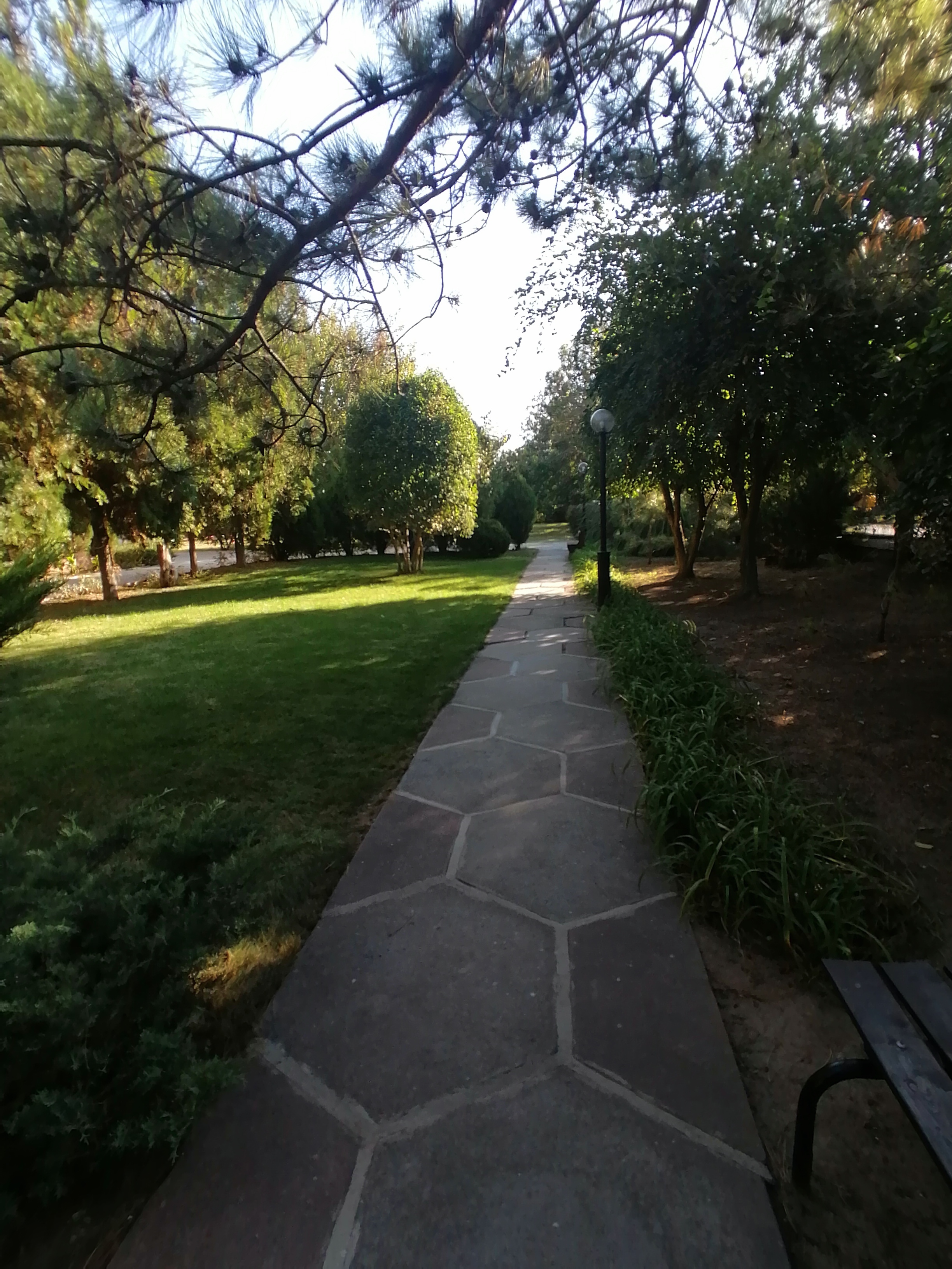 Фото Астра центр