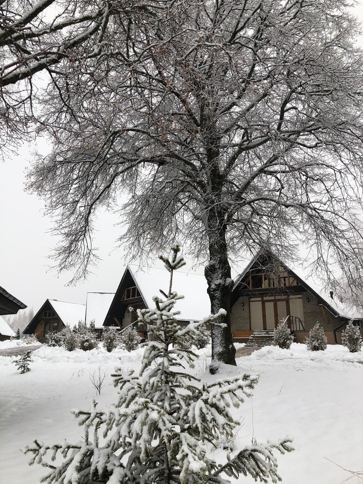 Фото Слобода