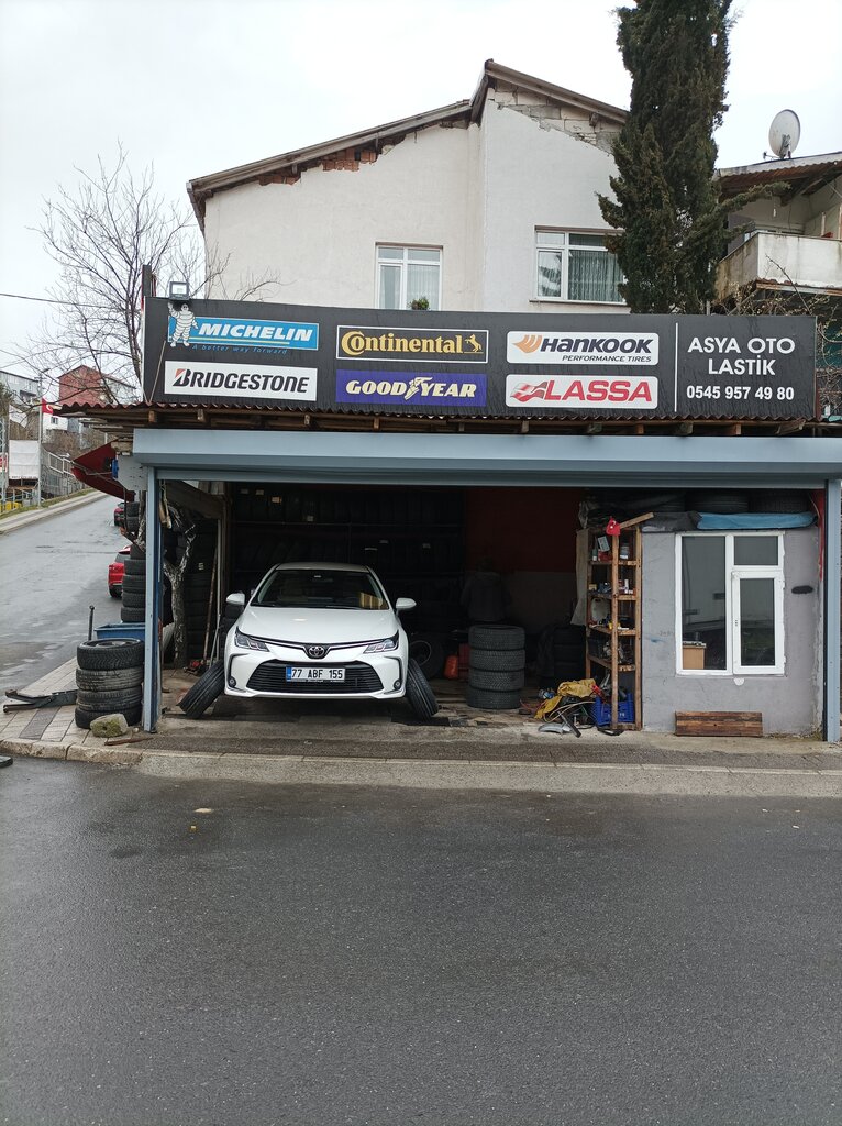 Tires and wheels Asya Auto Tire, Istanbul, photo