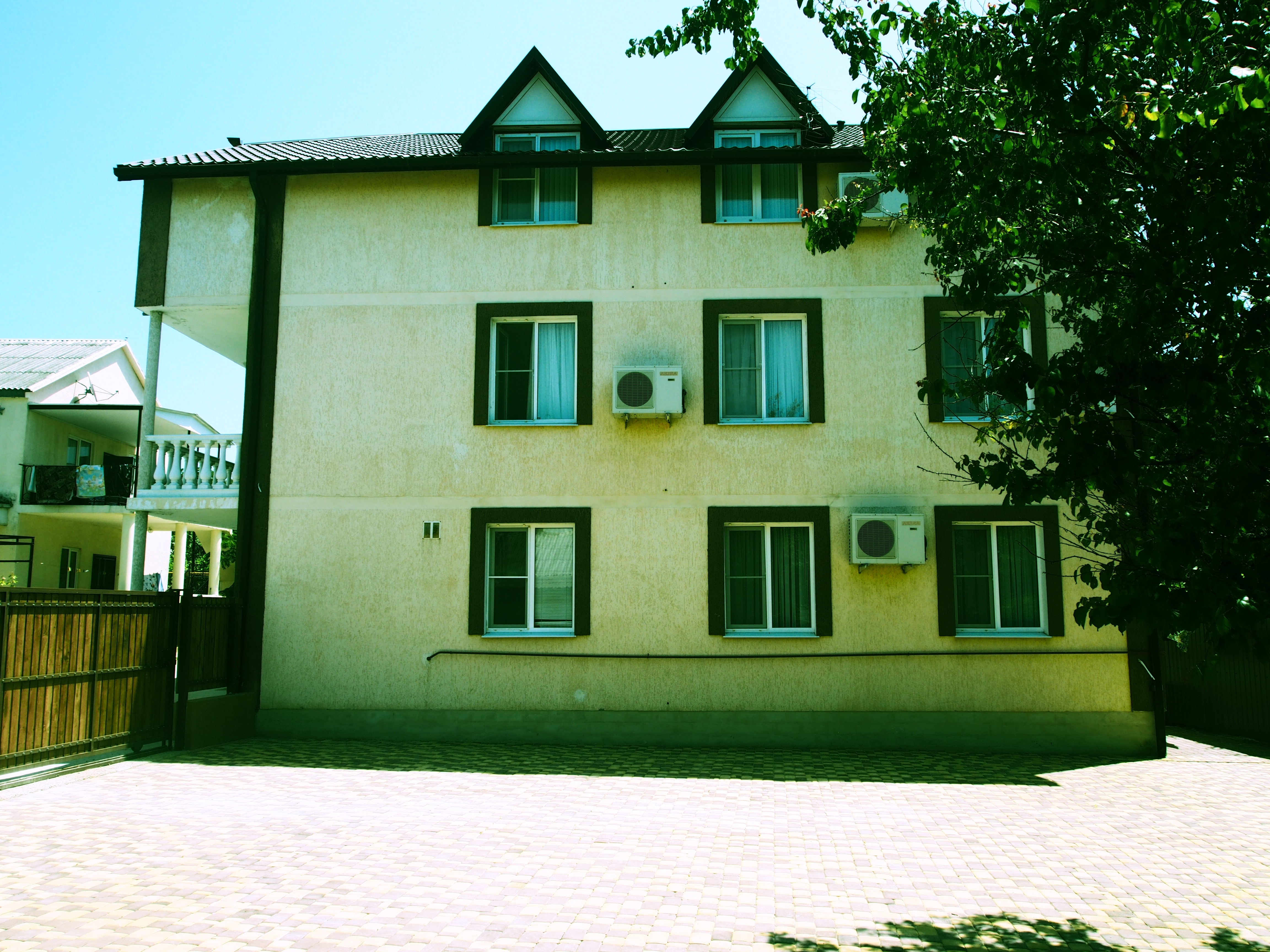 Фото Южный Платан