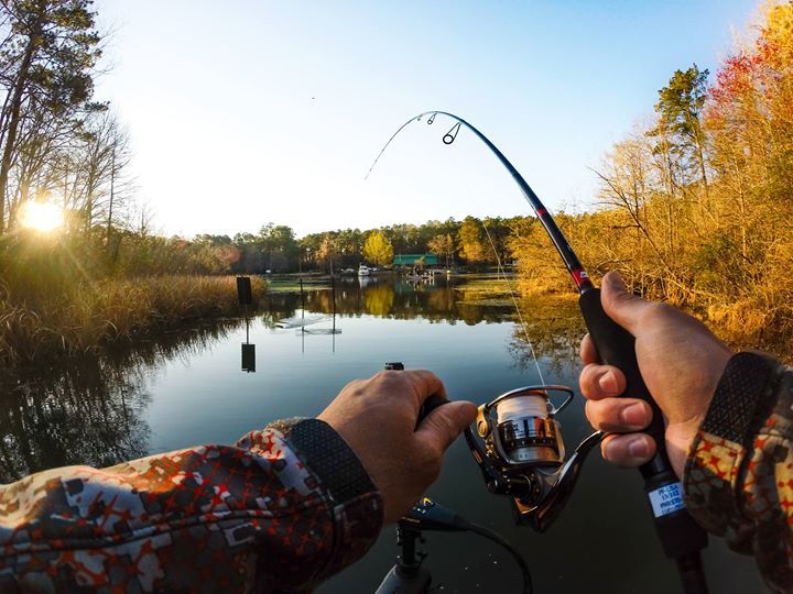 Фото Лавола