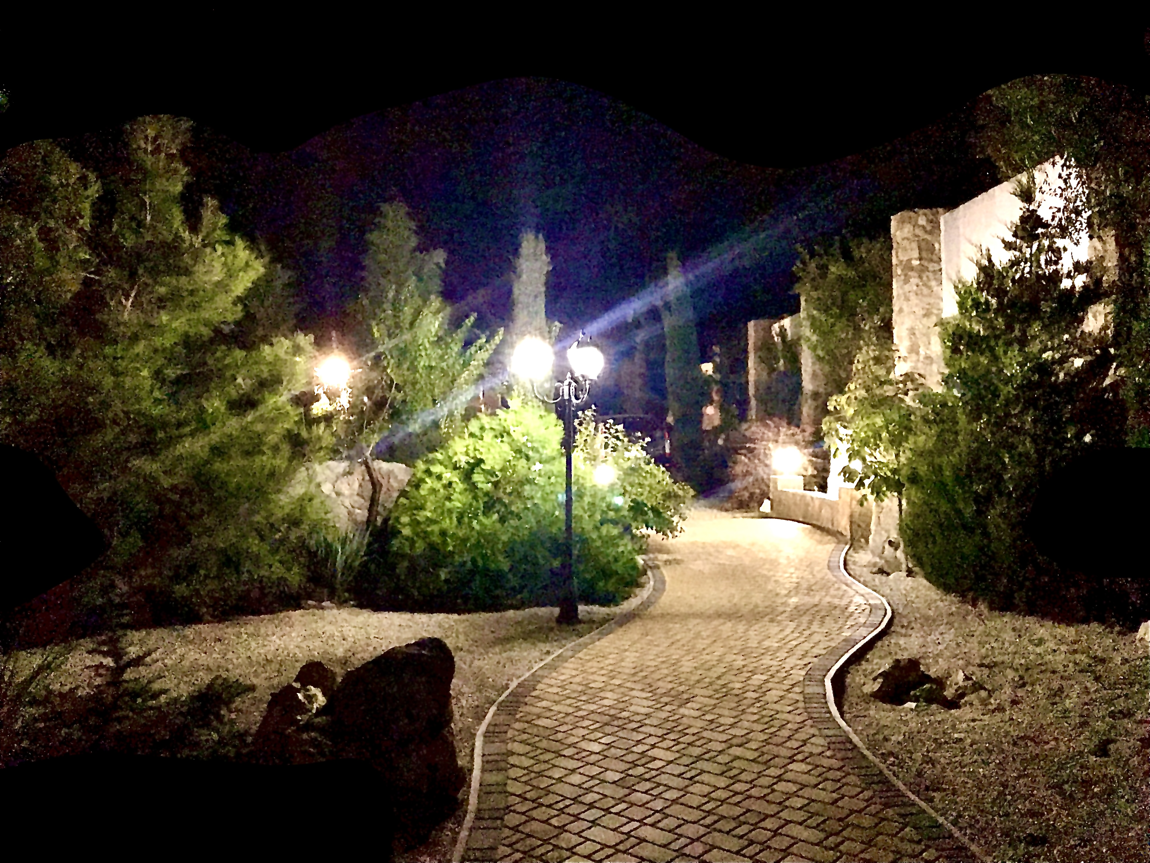 Фото Лагуна