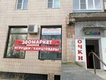 Ремонт Электроники (derevnya Gorbunki, 16), computer repairs and services