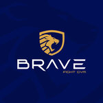 Brave (Донбасская ул., 71), спортивный клуб, секция в Видном