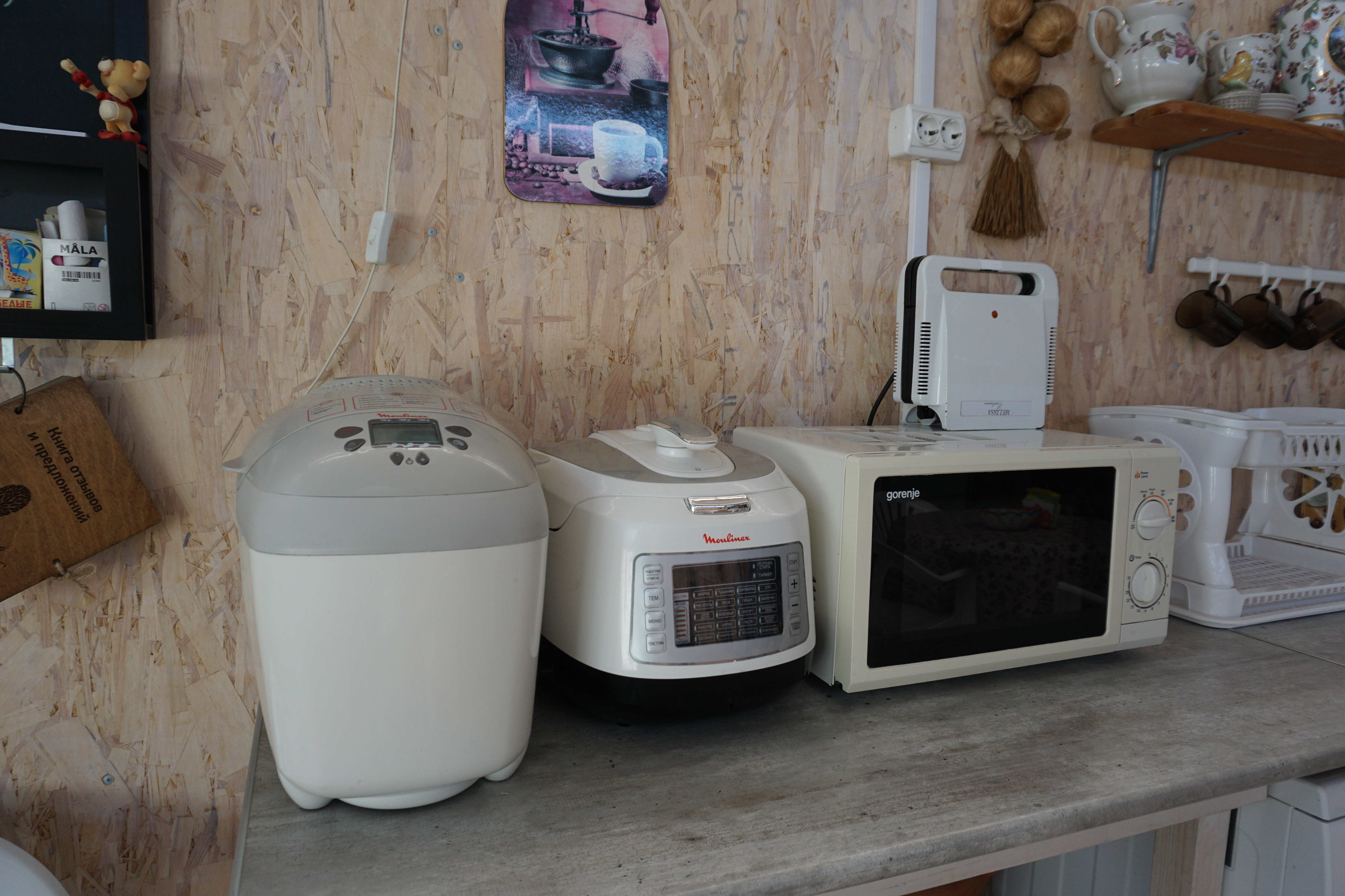 Фото Кофейное дерево