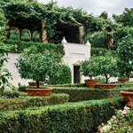 Veritas (ulitsa Timiryazeva, 167), landscape design