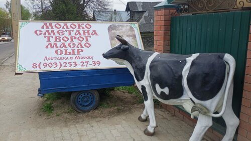 Dairy products shop Your favorite thrush, Moscow and Moscow Oblast, photo