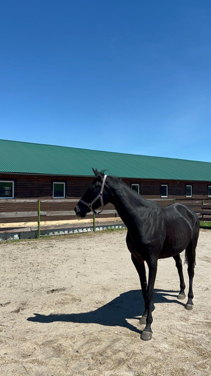 Фото База активного отдыха СВХ