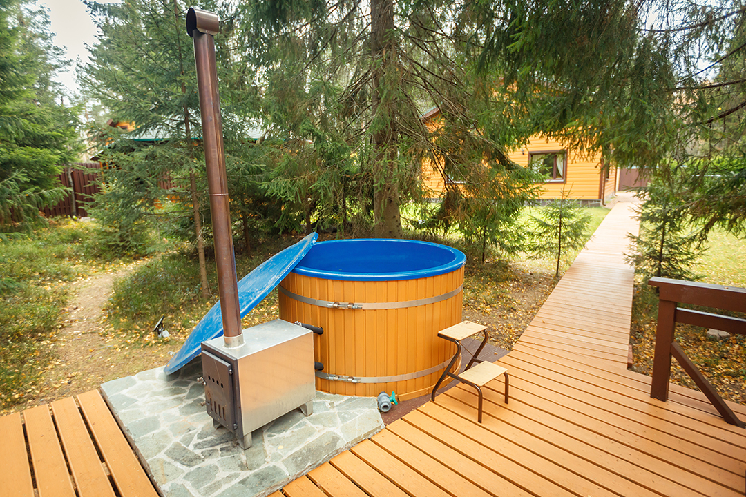 Фото Green Forest