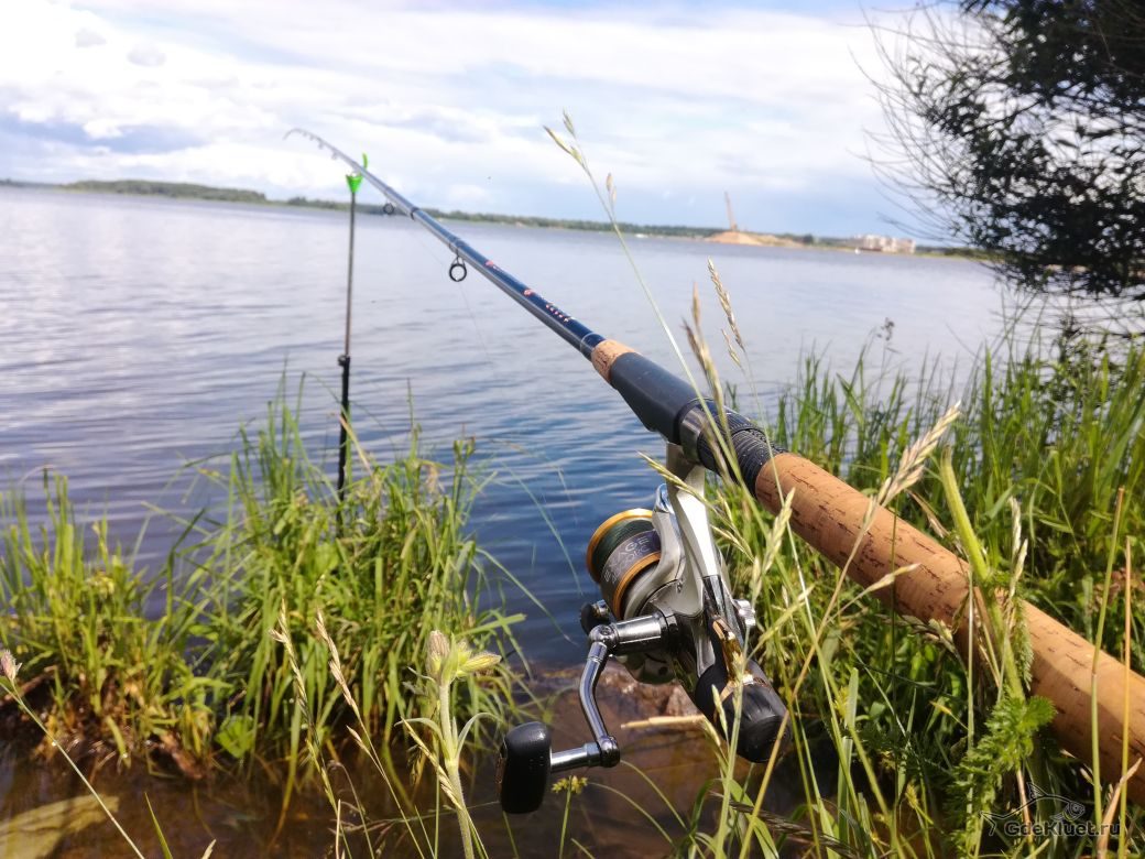 Фото Юность