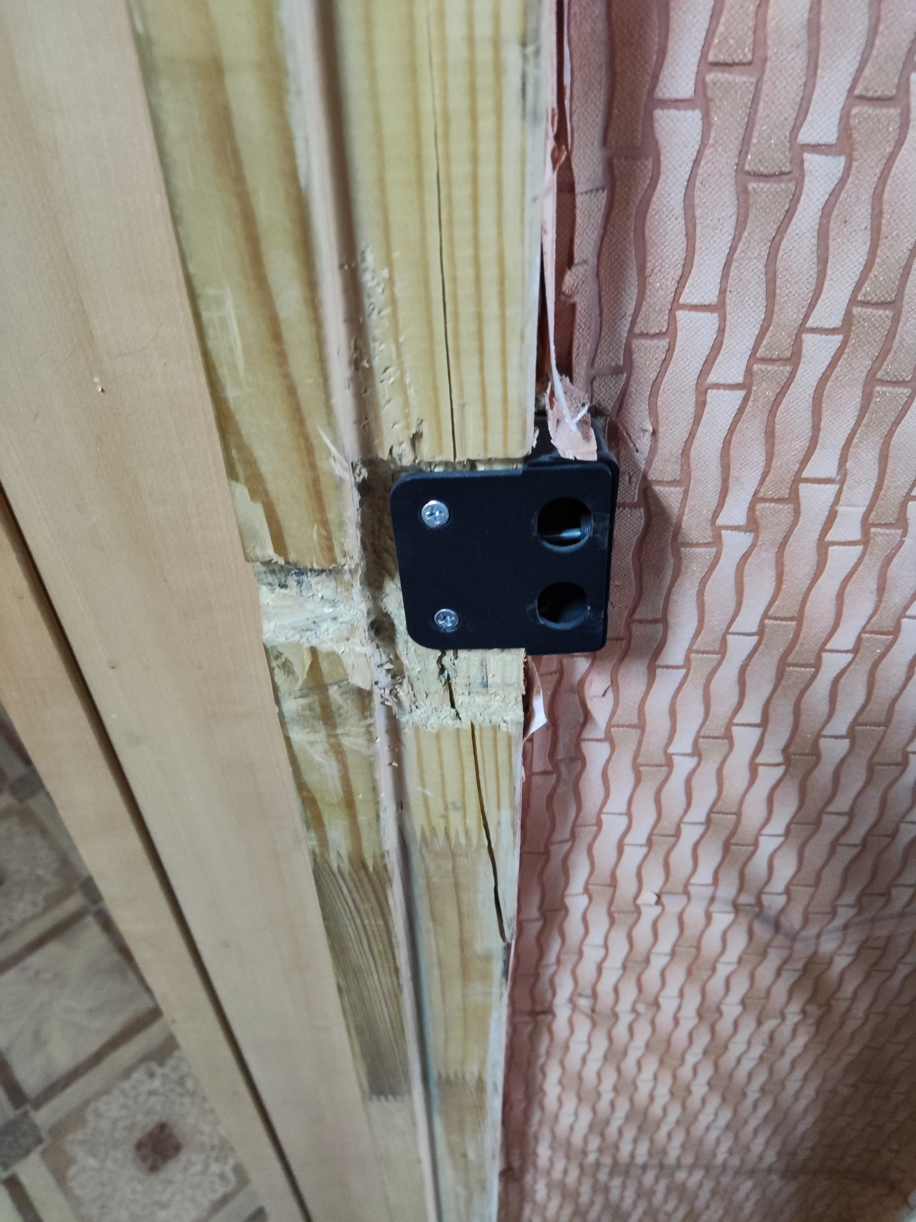 Фото Солнечная