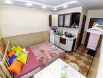 MiniHouse (Gavrilova Street, 2), short-term housing rental