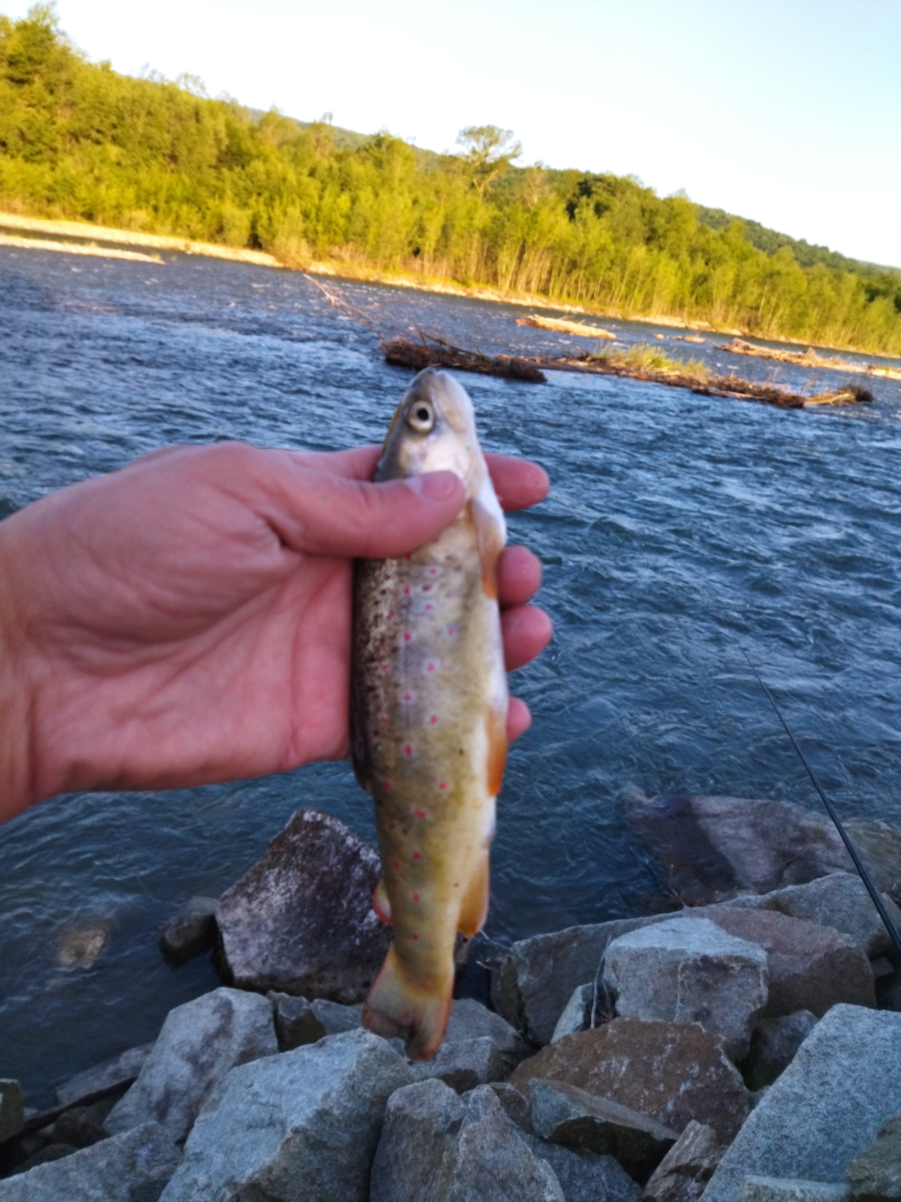 Фото Большая Лаба