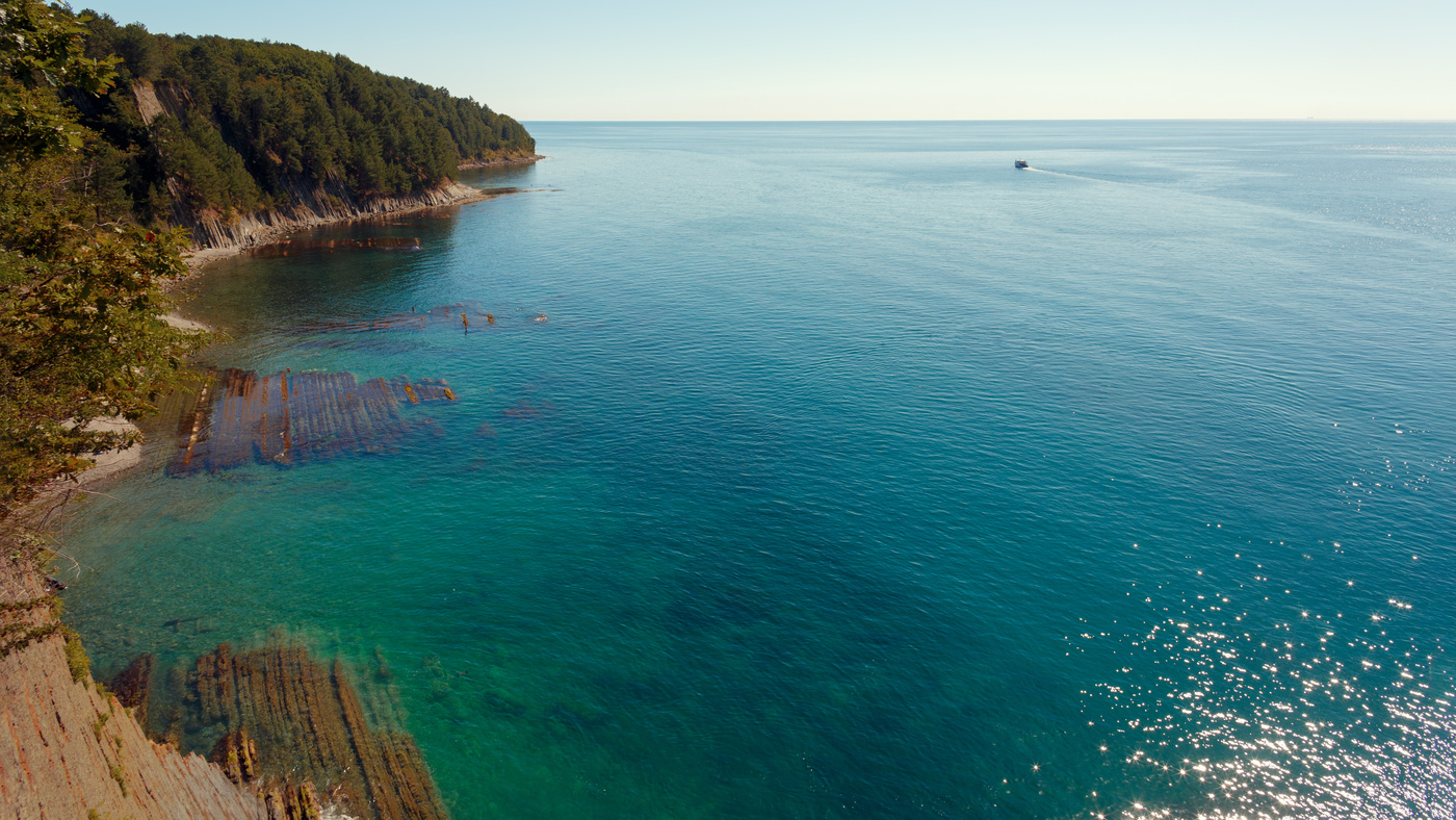 Фото Фантазия