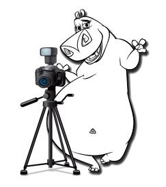 ФотоМото