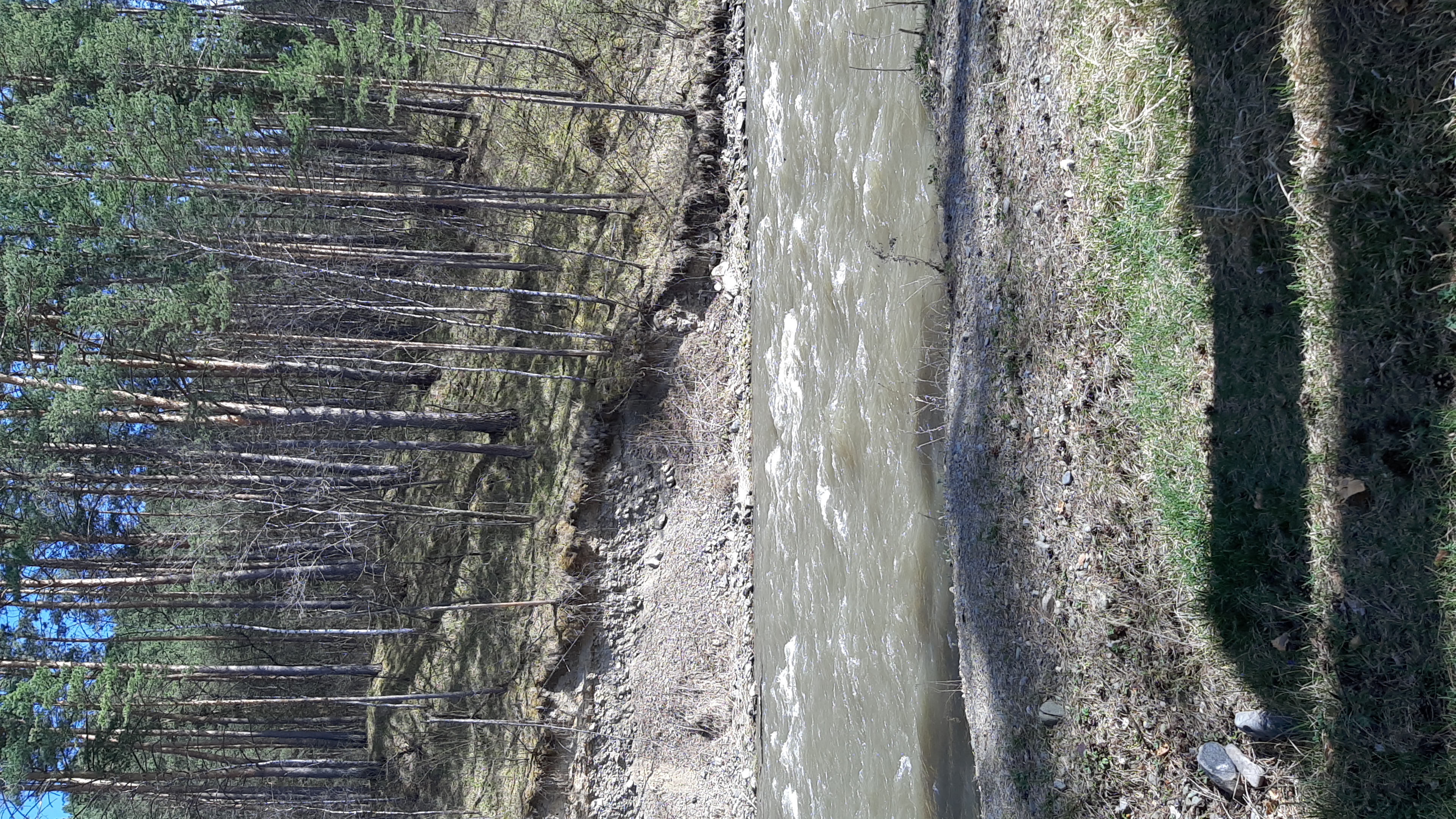 Фото Островок