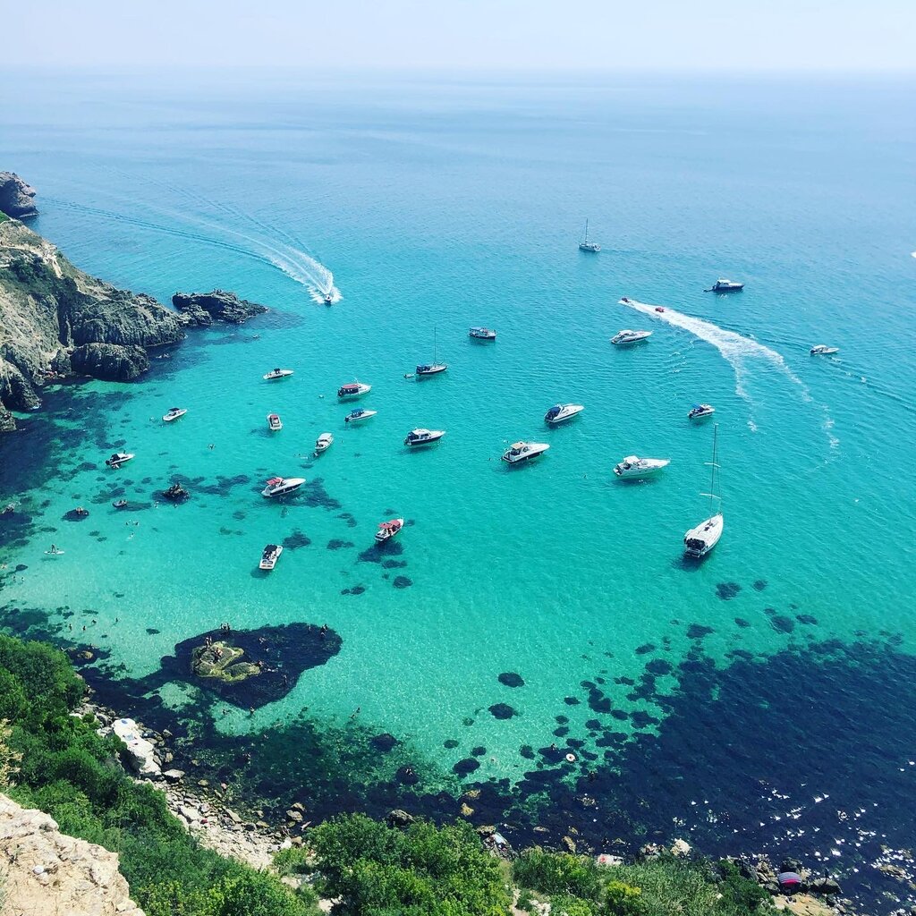 Фото Фиолентовский