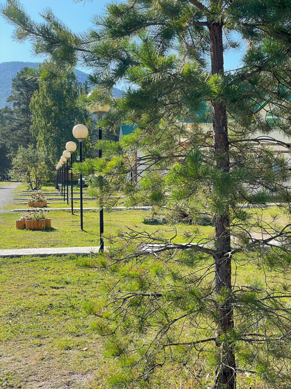 Фото Лагерь личностного роста ИМКА-Пилигрим