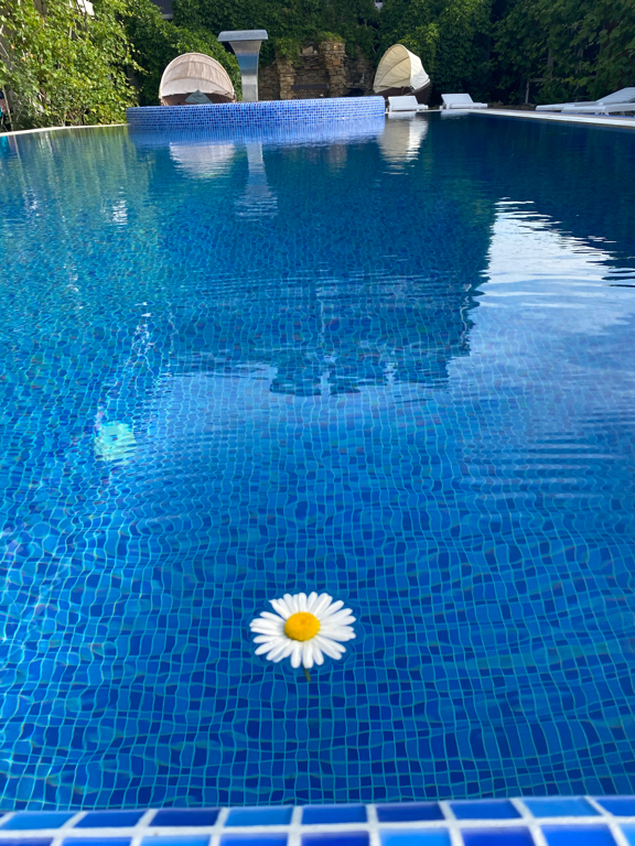 Фото Южный берег Кодак-Судак