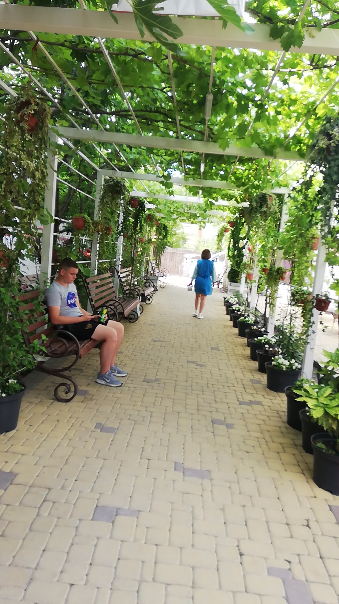 Фото Николаев двор