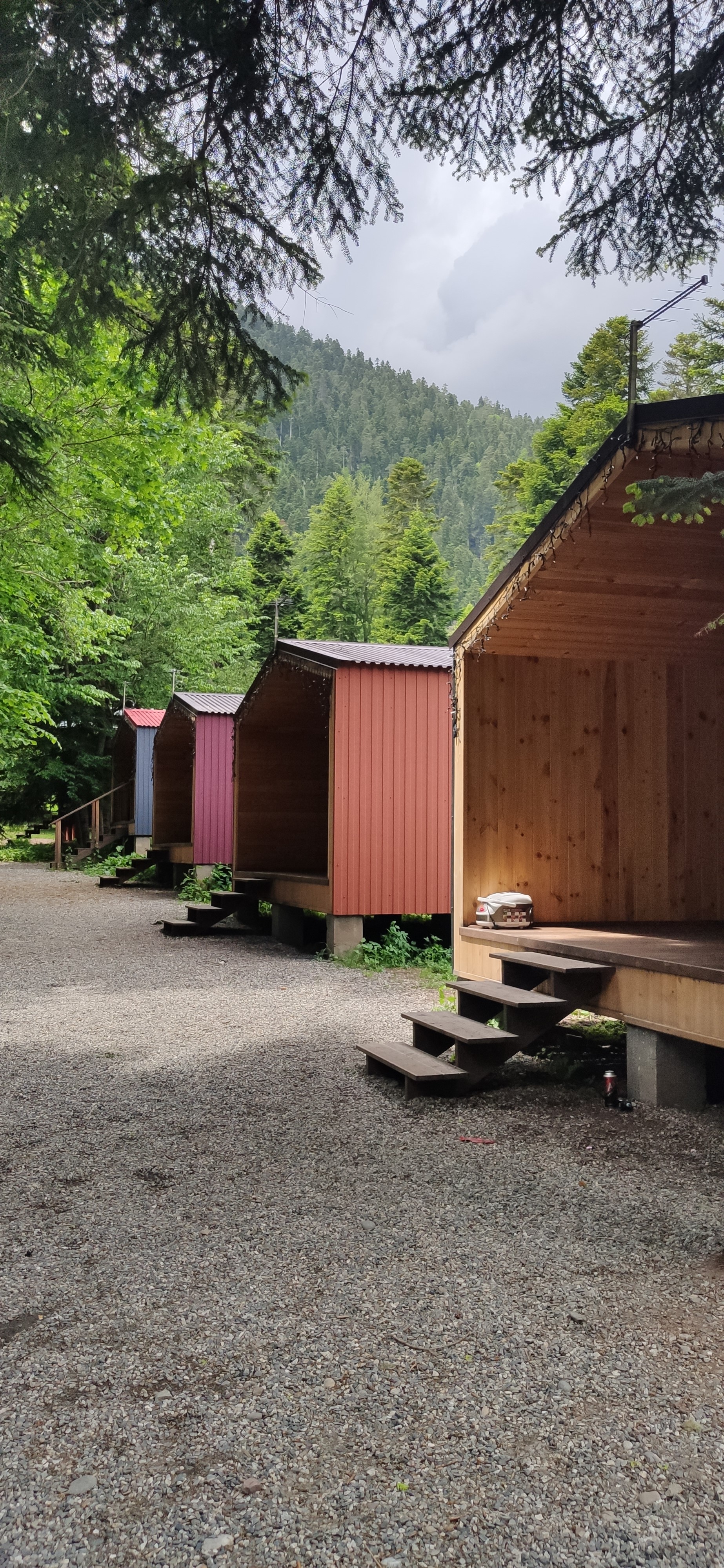 Фото Forest House Resort