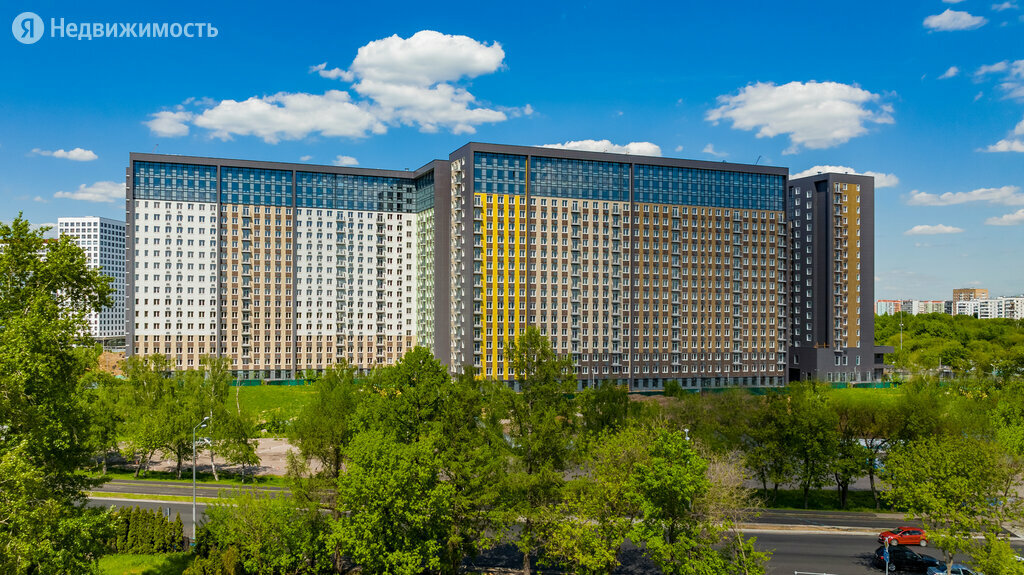 Новый свет березовая аллея 21 фото