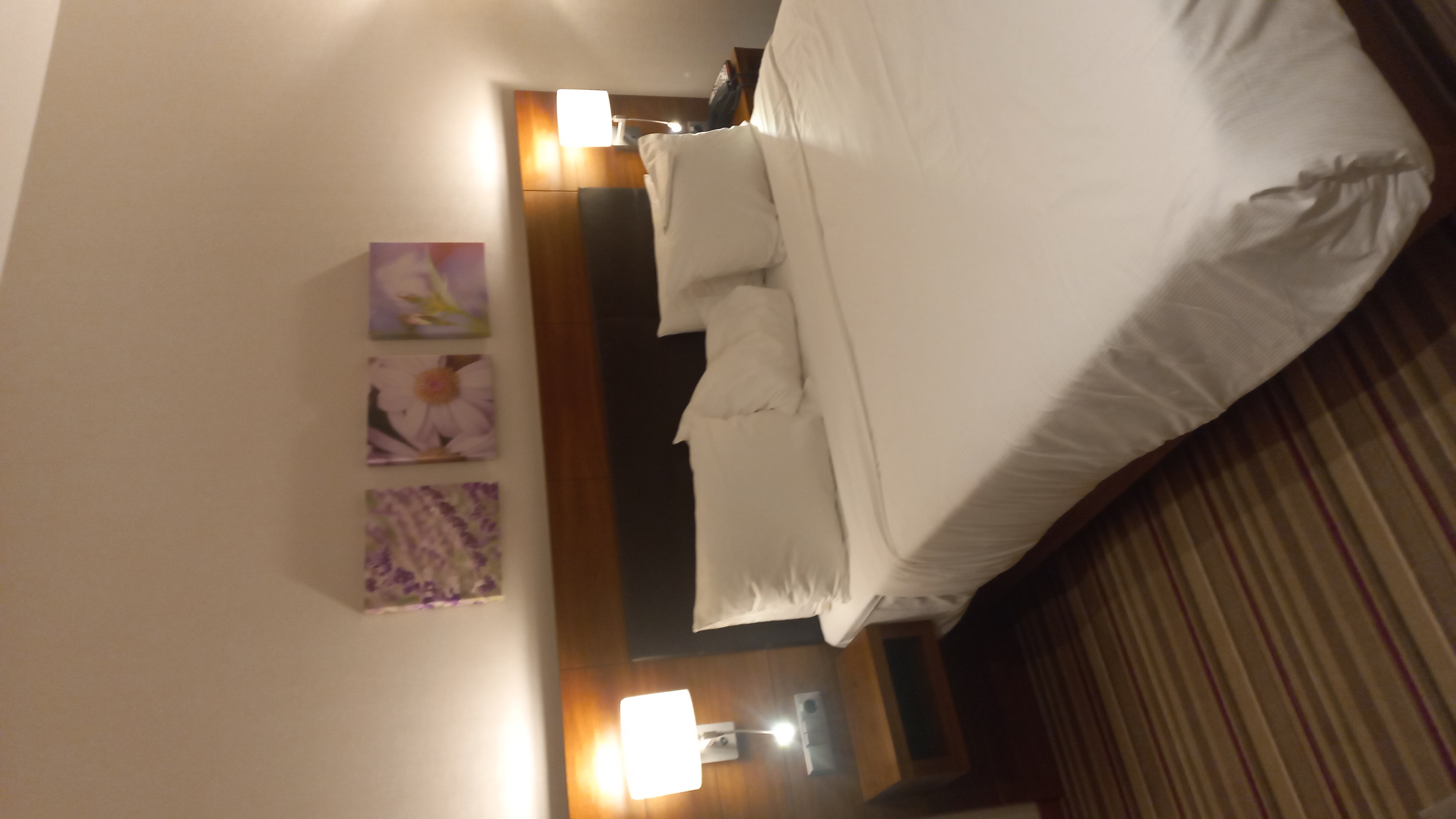 Фото Hilton Garden Inn Volgograd