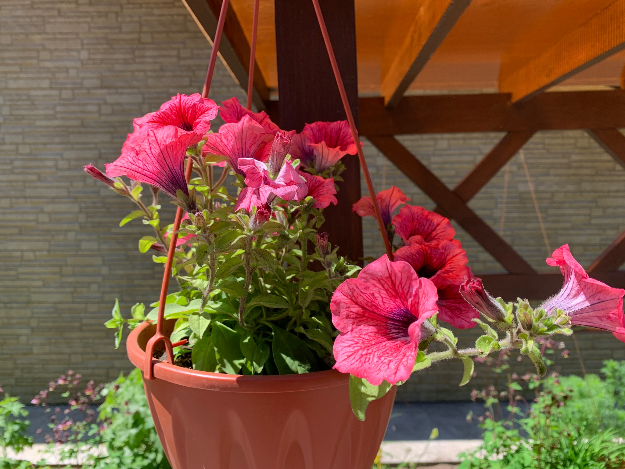 Фото Горячий ключ