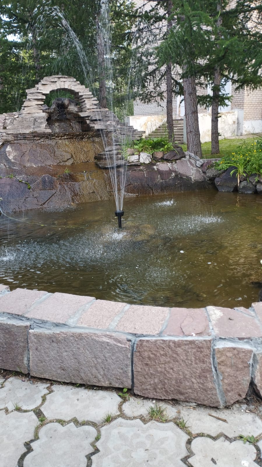 Фото Берёзки