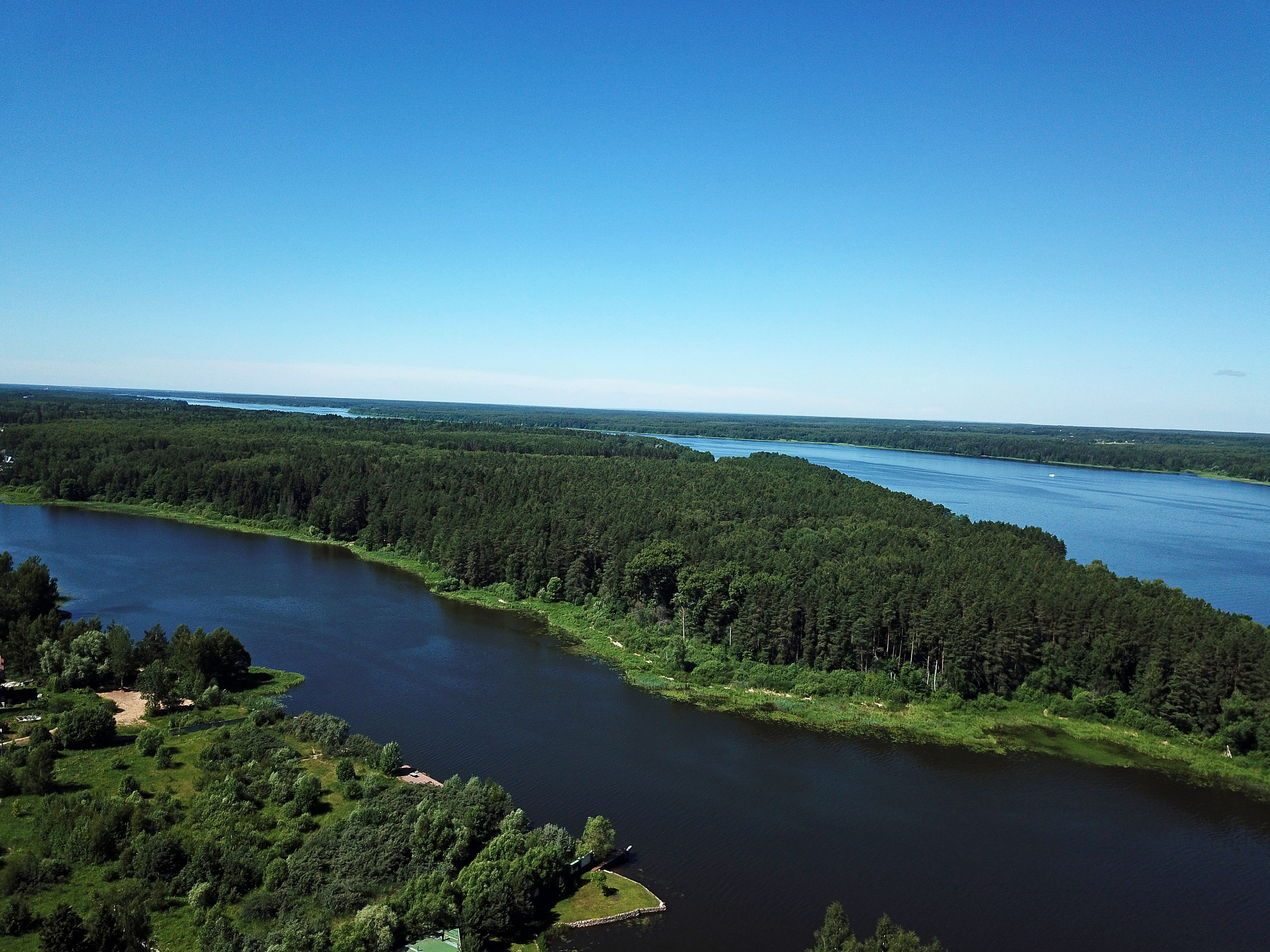 Фото Этилия