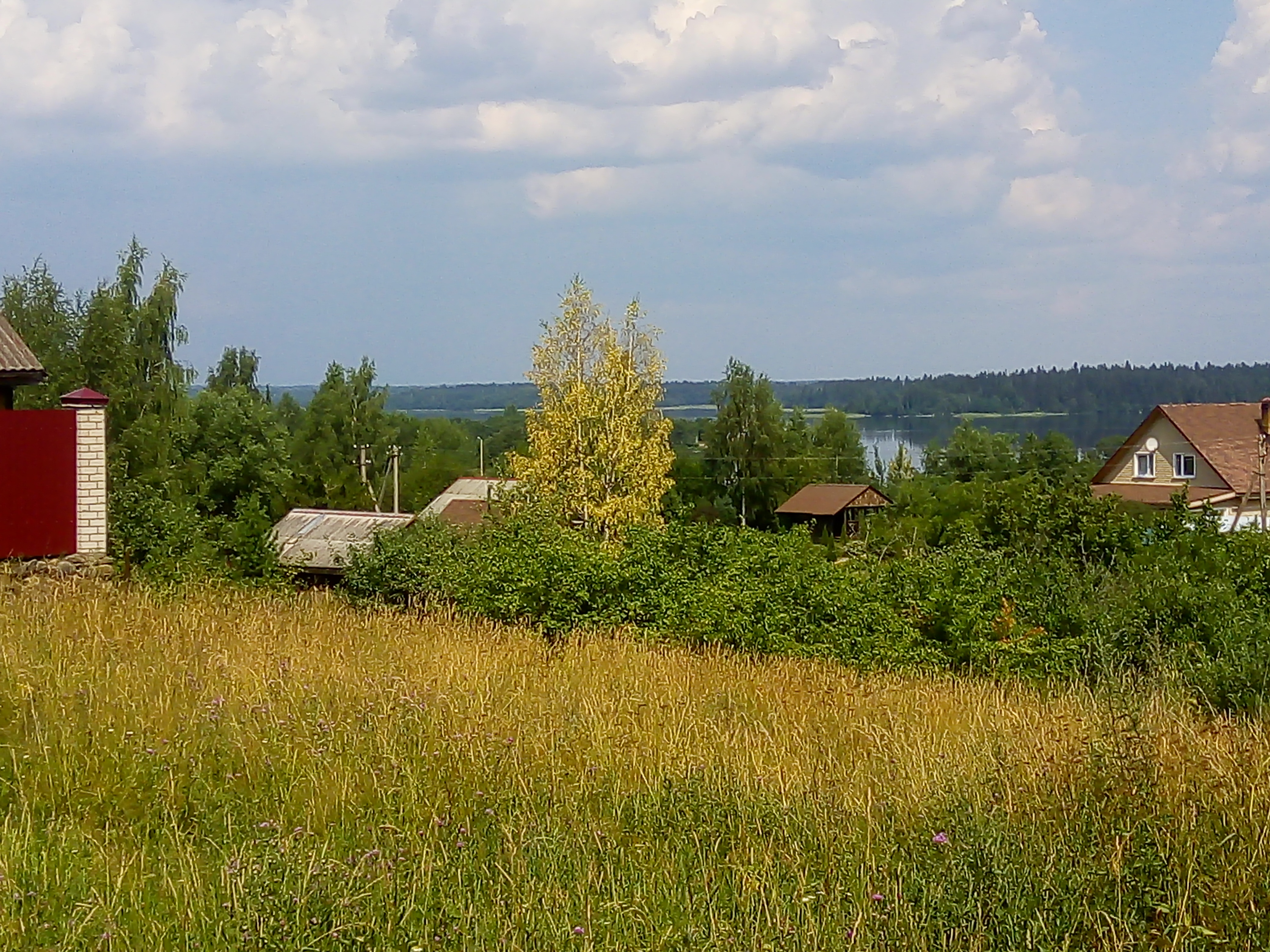 Фото Зимнегорье