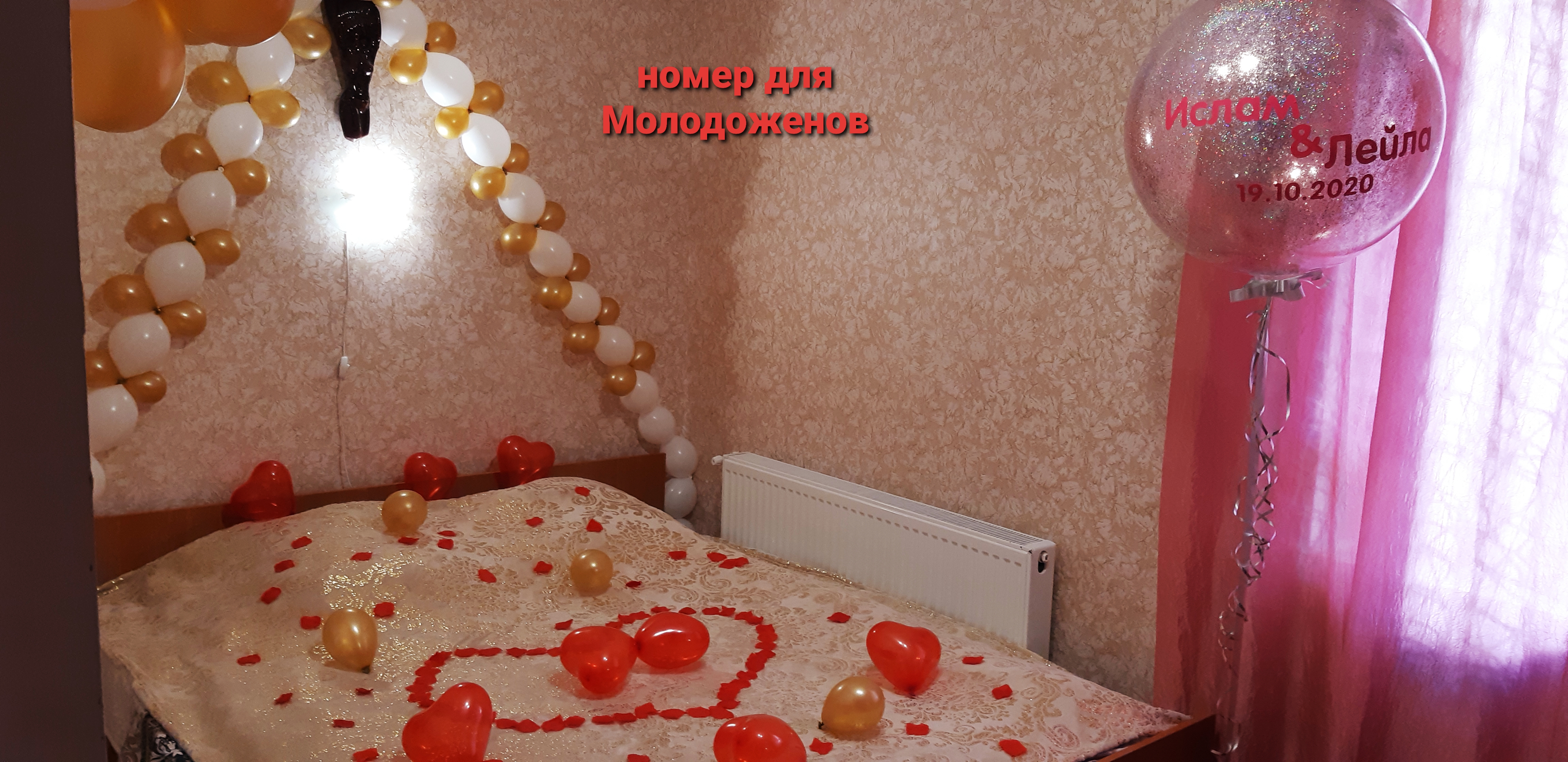 Фото Виноградная лоза