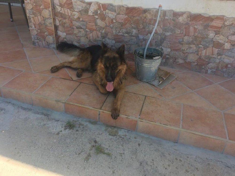 Фото B&b Villa Eleonora