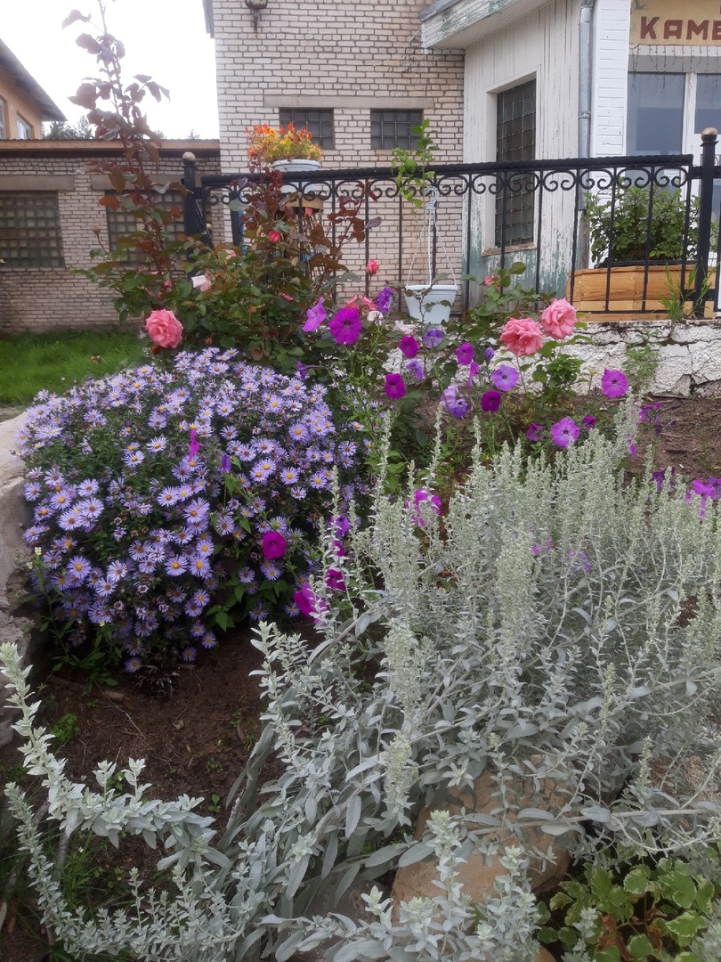 Фото Каменная гора