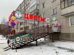 Cvetochnaya lavka (derevnya Kondratovo, ulitsa Kultury, 2), flower shop