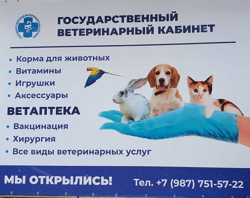 Veterinary clinic Государственный ветеринарный кабинет Автозаводского района, Nizhny Novgorod, photo