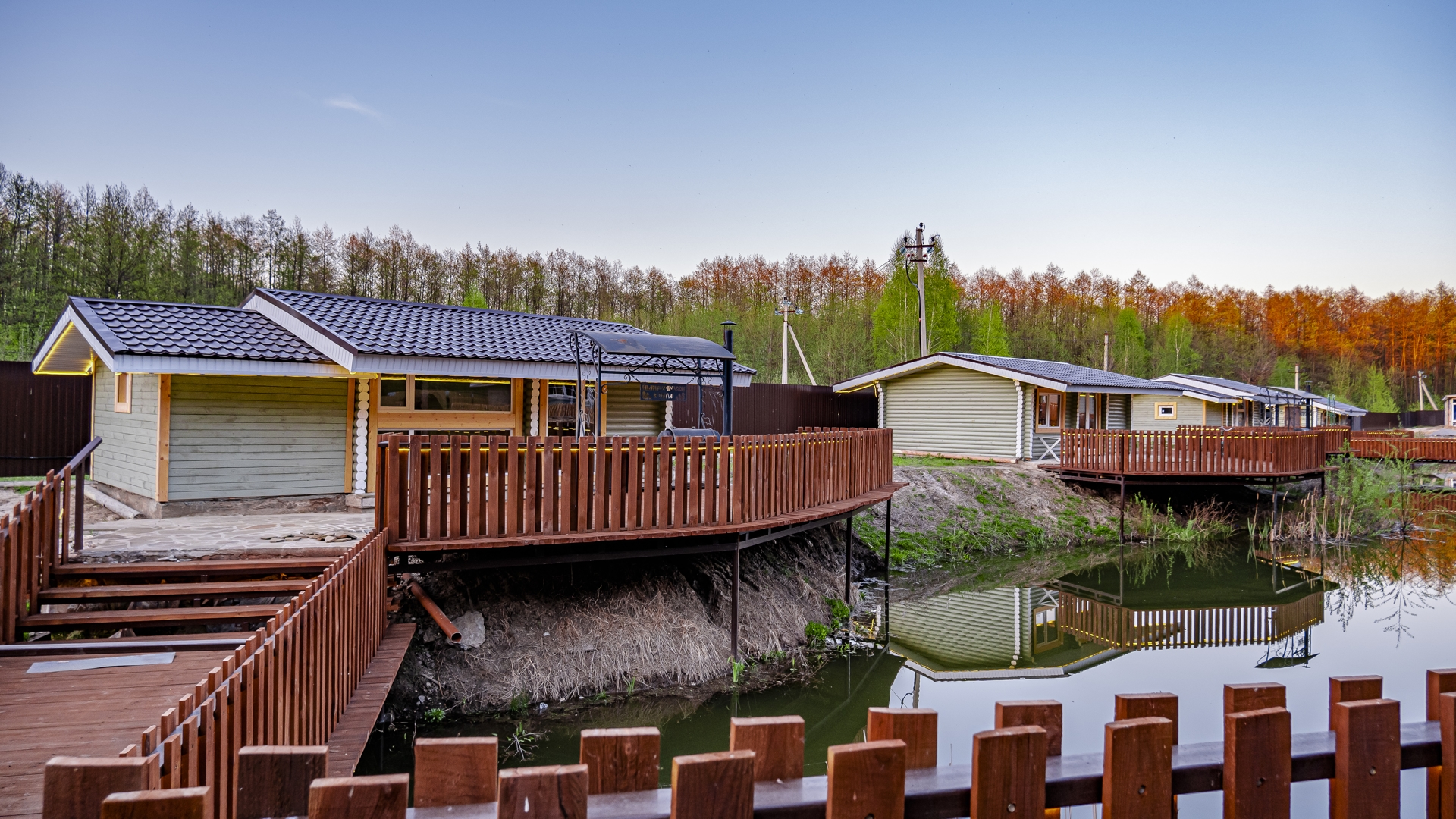 Фото Лесная история