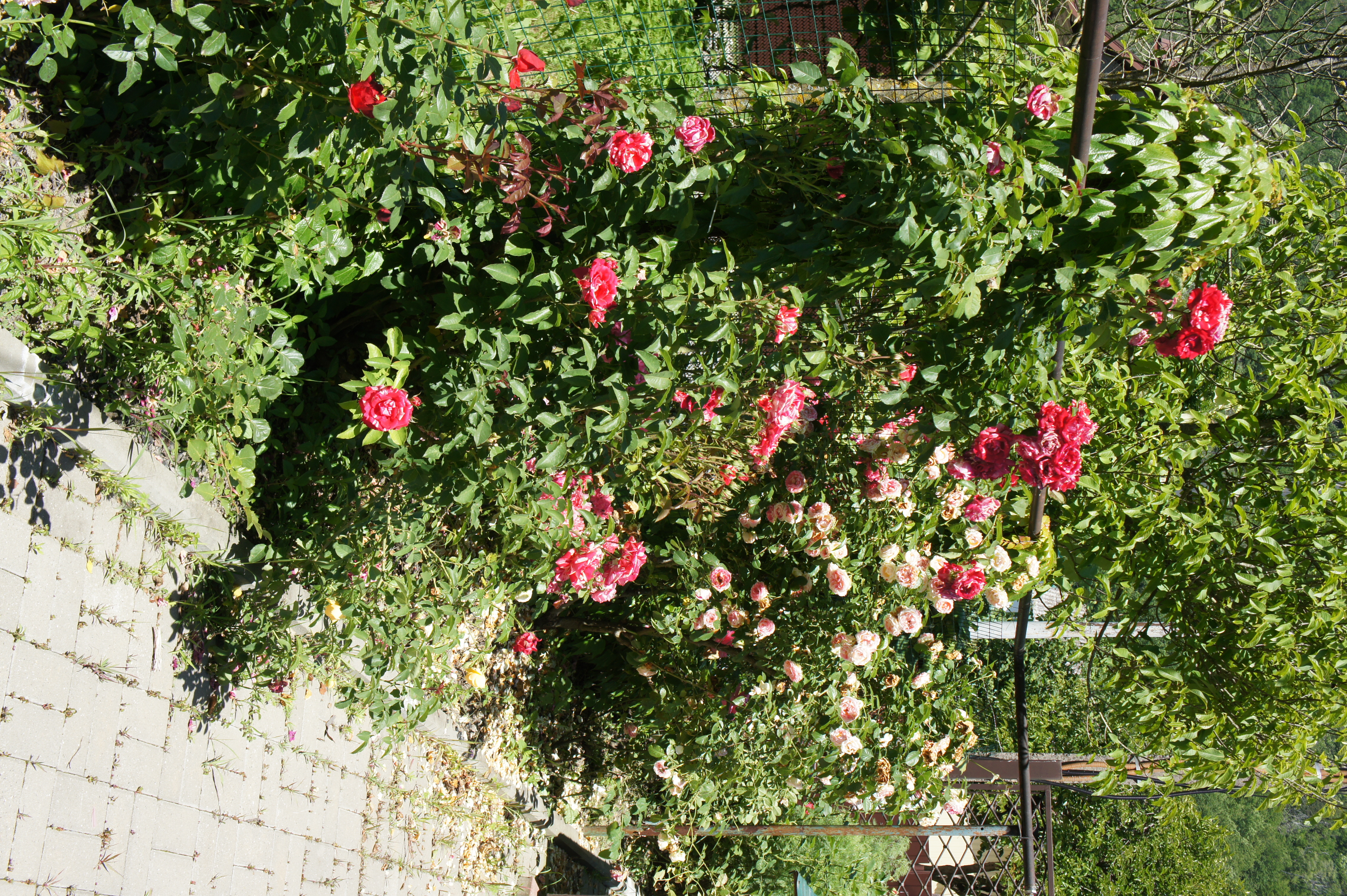 Фото Приют у реки