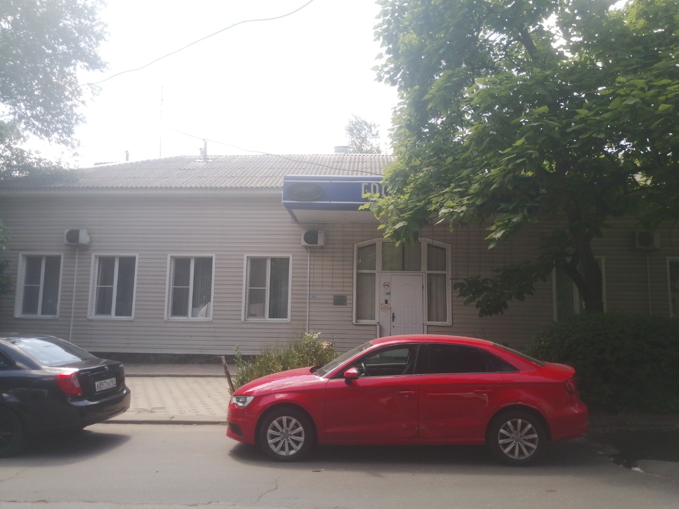 Фото Золотой лев