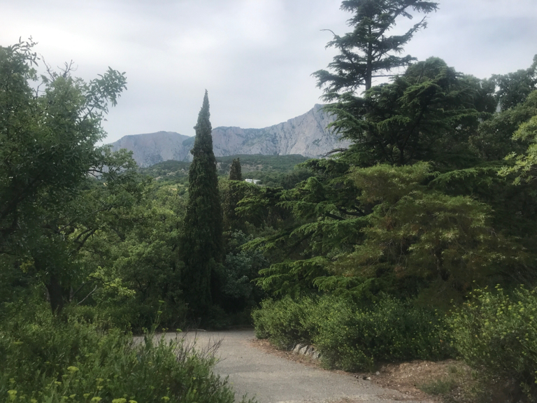 Фото Арт Прованс у моря