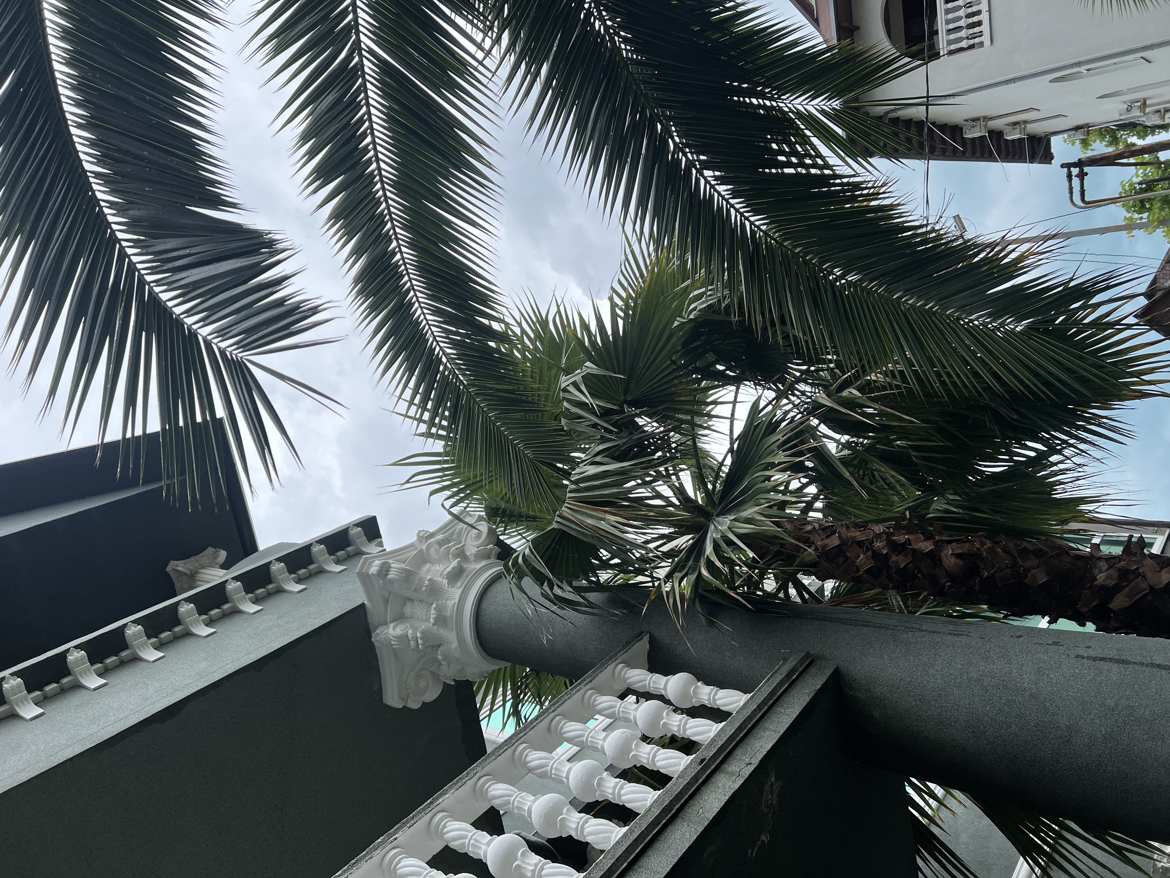 Фото Эллаиса