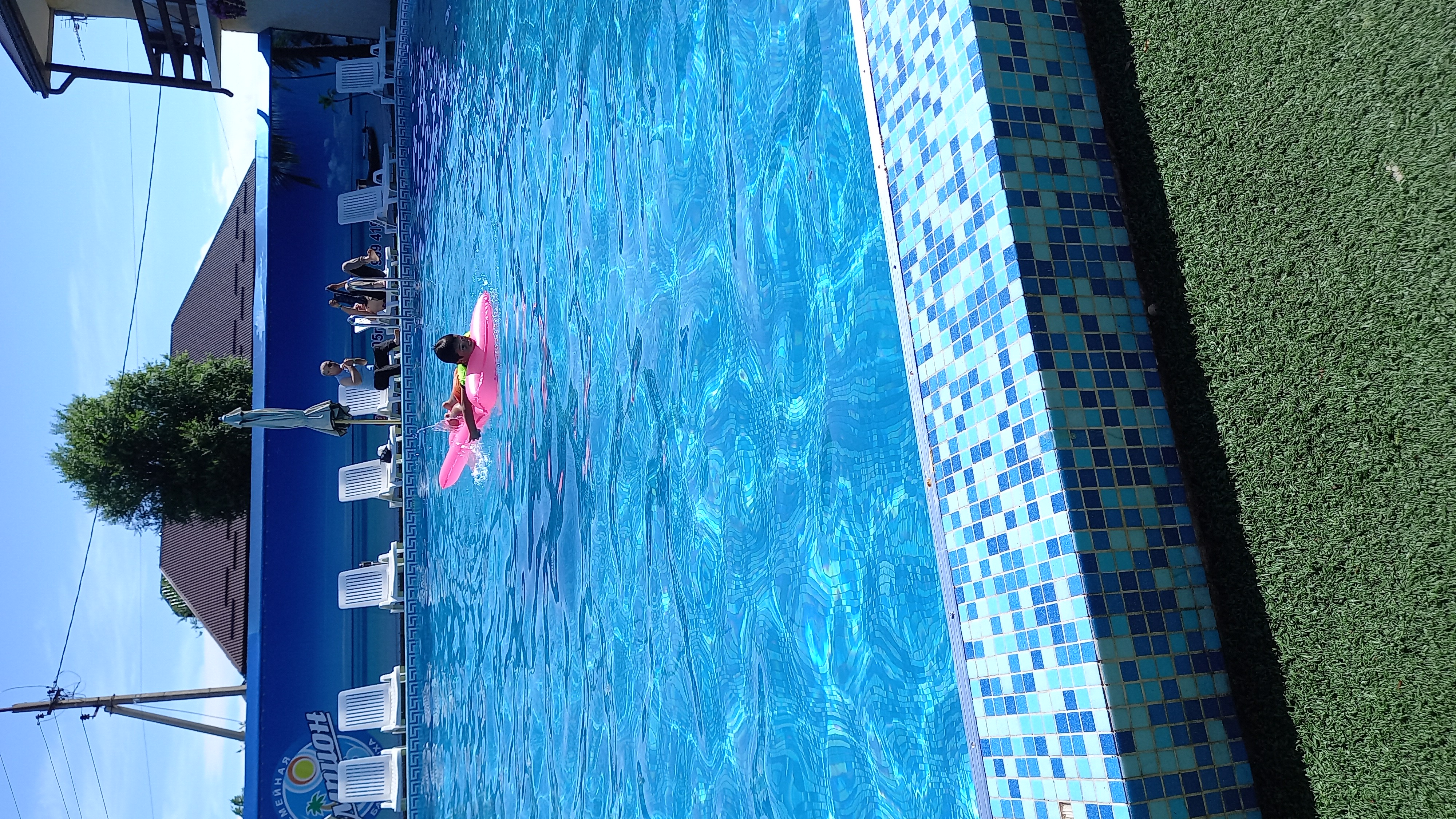 Фото Чемпион