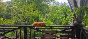 Гостевой Дом Макс